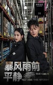 暴风雨前的平静(全集)