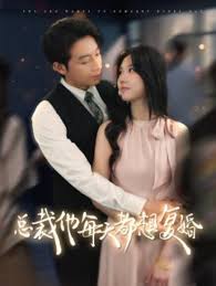 总裁他每天都想复婚(全集)