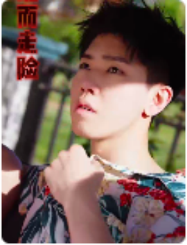 铤而走险 步步高升 幸福人生(全集)