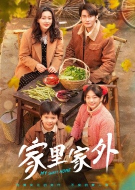 家里家外(全集)