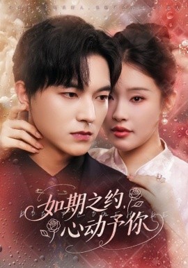 如期之约心动予你(全集)