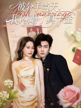 被分手当天我闪婚了真千金 刚分手被美女姐姐拉去领证(全集)