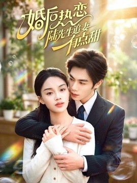 婚后热恋陆先生追妻有点甜(全集)