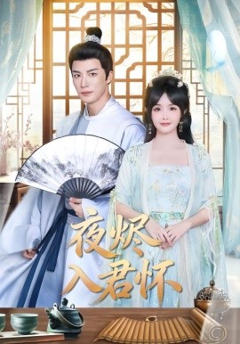 夜烬入君怀(全集)